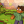 A Minecraft Parody of Taio Cruz's Dynamite - "TNT"