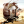Hoover Dam Caesar - Inon Zur & Mark Morgan