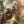 Ares Destroys Athens - Mike Reagan