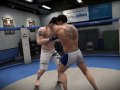 EA SPORTS MMA