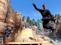 Skate 3
