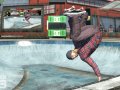 Skate 3