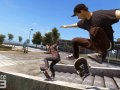 Skate 3