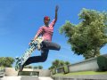 Skate 3
