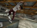 Skate 3