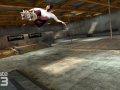 Skate 3