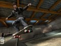 Skate 3