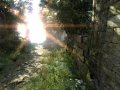 Two Worlds II
