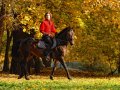 Конная выездка, 8 октября 2011