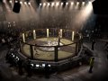 EA SPORTS MMA