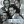 Tiger Rag - The Mills Brothers
