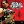 Compass (Red Dead Redemption) - Jamie Lidell
