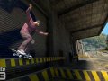 Skate 3
