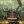 Ancient Rites (Eldar Theme) - Doyle W. Donehoo 