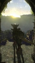 Разработчики The Last Guardian попросили помощи у иностранных коллег