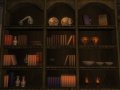 The Elder Scrolls IV: Oblivion. Мод Espless Book Replacer 2.2