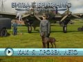 Ил-2 Штурмовик: Битва за Британию. Видеорецензия