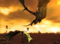 Divinity II: Кровь драконов. Трейнер v.1.0.13.67 +7