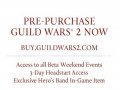 Guild Wars 2. Трейлер