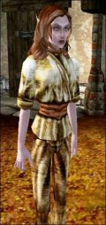 The Elder Scrolls III: Morrowind. Мод Arimer