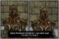 The Elder Scrolls IV: Oblivion. Мод Shivering Isles Overhaul 0.111