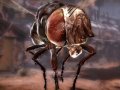 Компанию Electronic Arts лишили прав на игру Rage