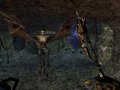 The Elder Scrolls III: Morrowind. Мод Trash Bin 2