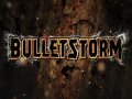 Project Hope: BulletStorm review
