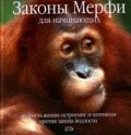 Закон подлости