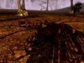 Darkfall Online. Трейлер