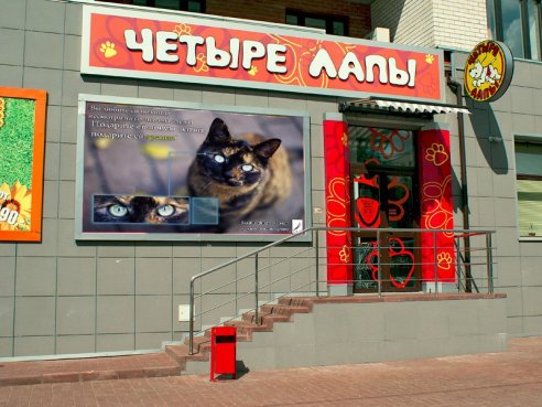 Зоомагазинами