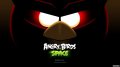 Angry Birds Space скачали 10 миллионов раз