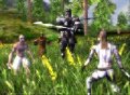 Darkfall Online - официальный релиз и первые проблемы 