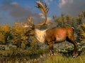 Cabela's North American Adventures. Трейлер