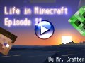 Life in Minecraft. Episode 11