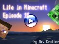 Life in Minecraft. Episode 10