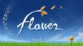 Игру Flower используют для проведения церковной службы