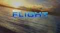 Microsoft Flight появится 29 февраля