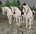 The Elder Scrolls IV: Oblivion. Мод Espless Slof's Horse Replacer 1.2