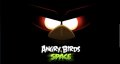 Видео-обзор игры Angry Birds Space от IGN (русская озвучка)