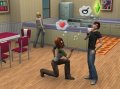 The Sims 3 на расхват