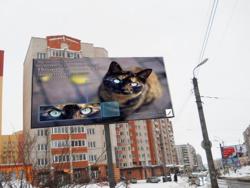 А так же арендовать рекламные щиты.