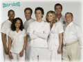 Scrubs. Без купюр.