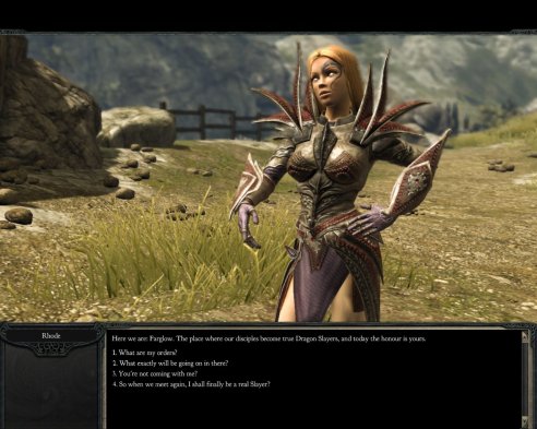 В Divinity 2 все диалоги озвучены профессиональными актерами.
