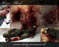 Counter-Strike: Source. Мод Horror Blood