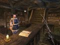 The Elder Scrolls III: Morrowind. Мод Bitter Coast Sounds 1.0