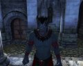 The Elder Scrolls IV: Oblivion. Мод Заклинание Полиморфа
