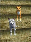 The Elder Scrolls III: Morrowind. Мод Cat Companions 1.0