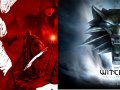 Dragon Age VS The Witcher