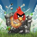 Авторы Angry Birds основали новую студию